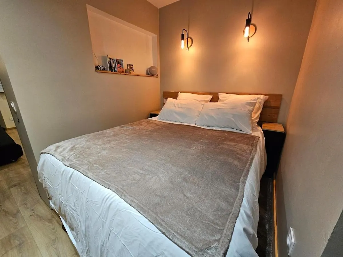 Grand Studio Dans Centre Ville Монмельян Франция